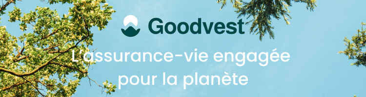 Goodvest 750x200