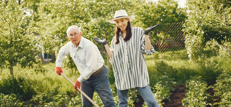 Travaux jardinage : comment bénéficier d'une déduction d'impôt