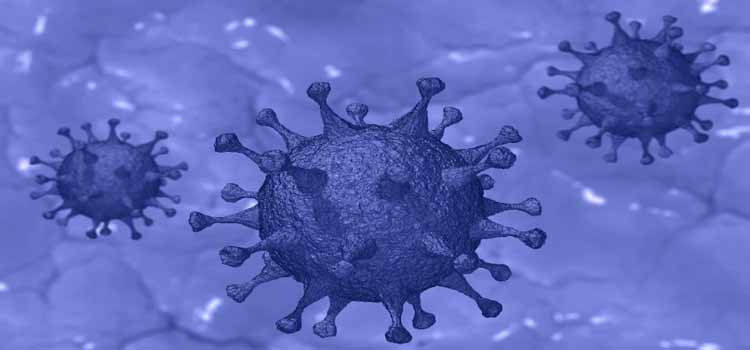 Cette période de confinement pousse les assurés à se poser des questions sur l’avenir et sur l’étendue de leur assurance vie et de leur assurance décès. Le contrat couvre-t-il le décès lié au covid-19 ? Assurance vie et Coronavirus