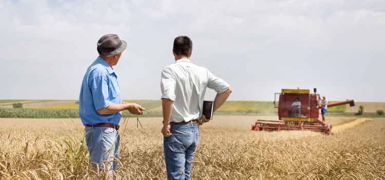 calcul retraite des agriculteurs et des exploitants agricoles 