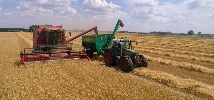 La revalorisation des pensions de retraites agricoles les plus faibles bientôt effective