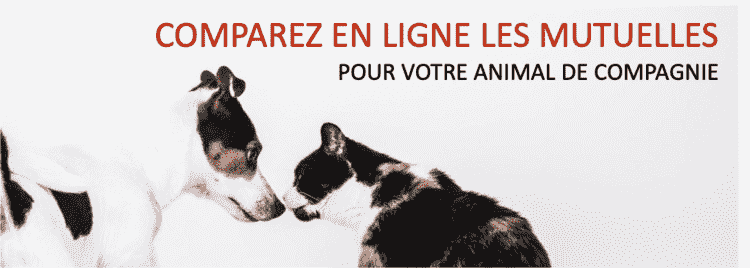mutuelle chien chat 2